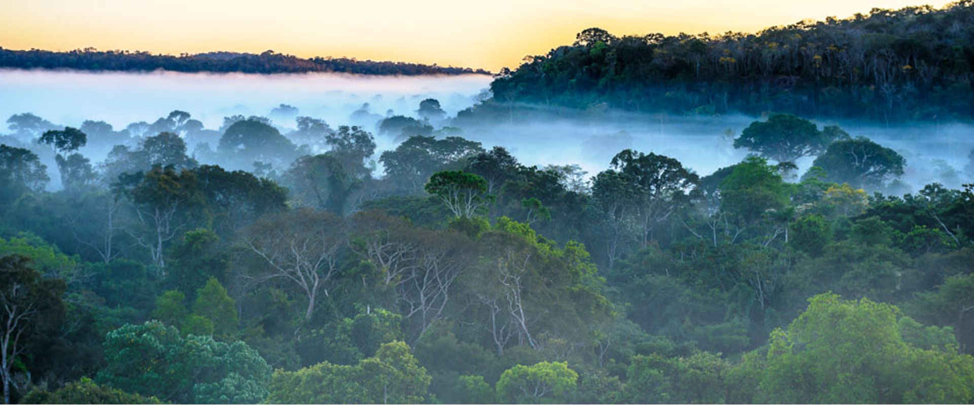 Alta Floresta